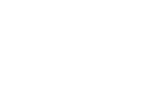 New Life Stump & Snow